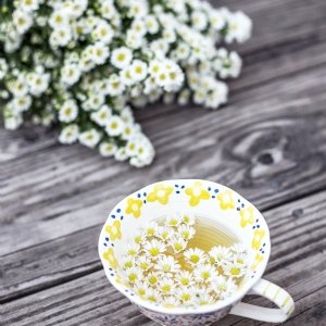 3 Ways to Use Chamomile for Health and Wellbeing Benefits | Alice England
