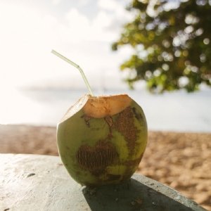 Coconut Wellbeing and Health Benefits | Alice England